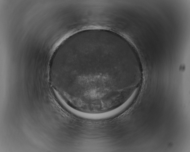 X0000115631173200911241640