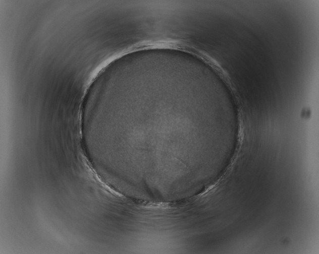 X0000115631174200911241640