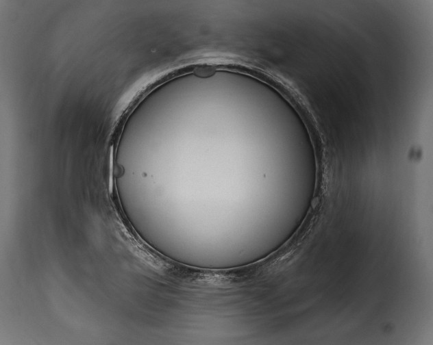 X0000115631175200911241640