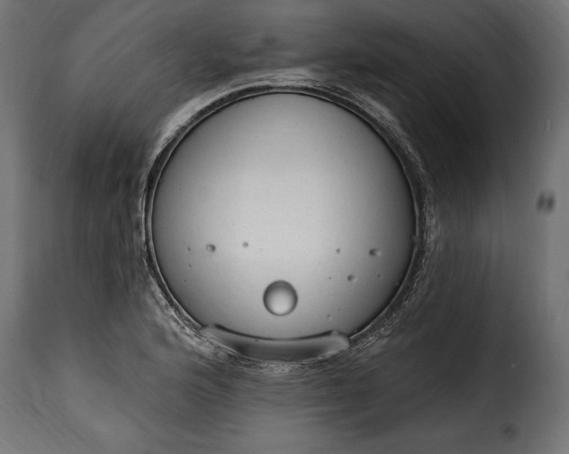 X0000115631176200911241640