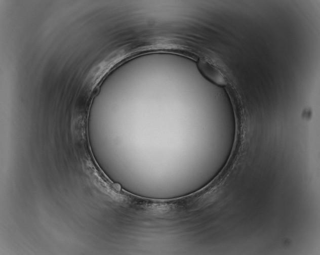 X0000115631177200911241640