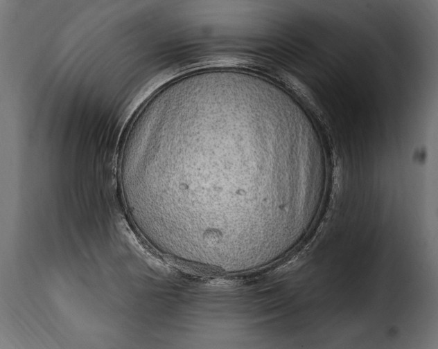 X0000115631178200911241640