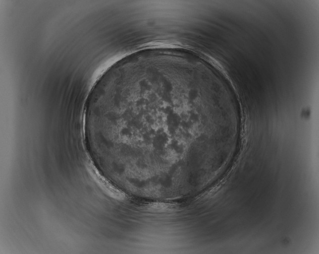 X0000115631179200911241640