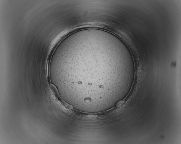 X0000115631180200911241640