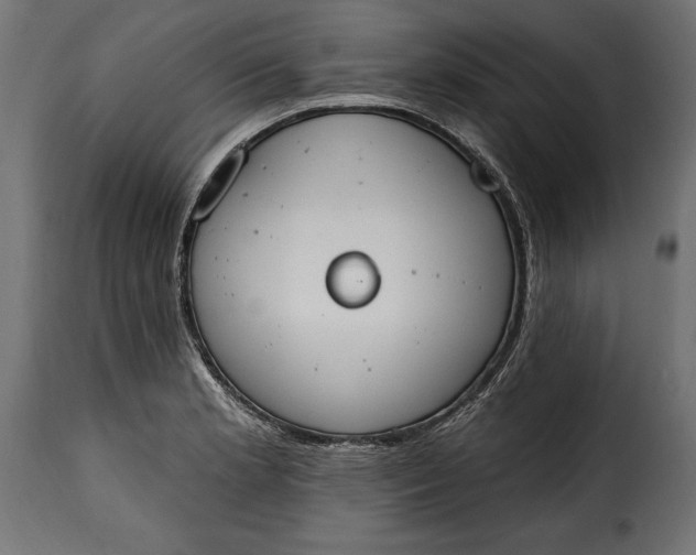 X0000115631181200911241640