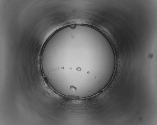 X0000115631182200911241640