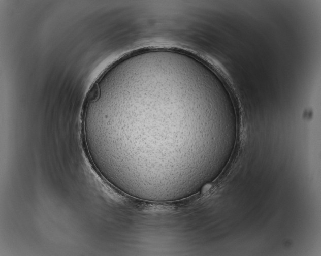 X0000115631183200911241640