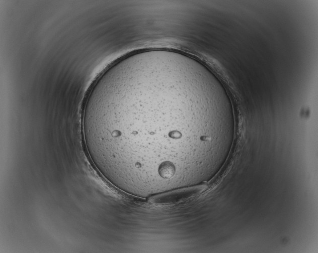 X0000115631184200911241640