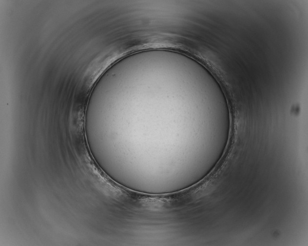 X0000115631185200911241640