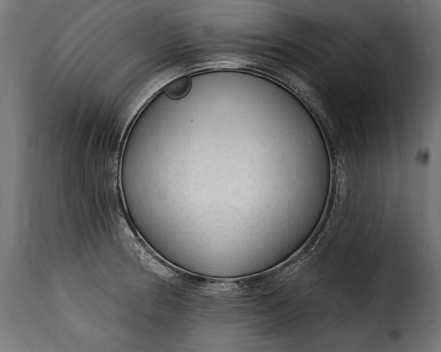 X0000115631186200911241640