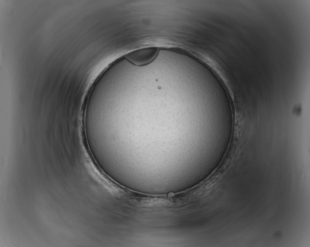 X0000115631187200911241640