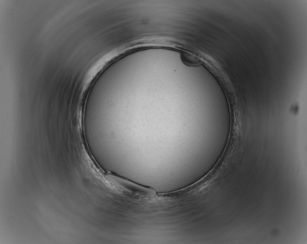 X0000115631188200911241640