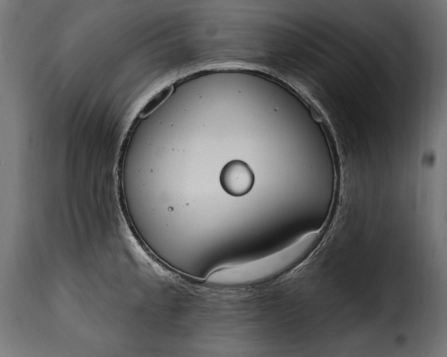 X0000115631189200911241640