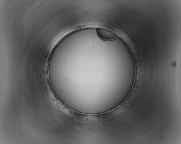 X0000115631190200911241640