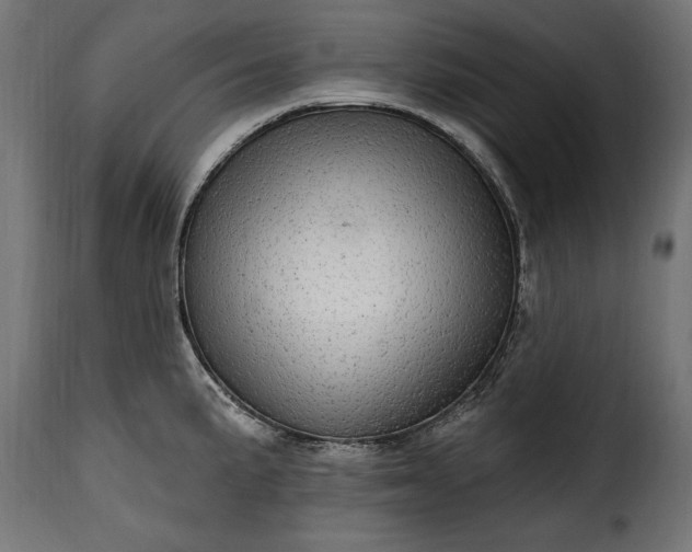 X0000115631191200911241640