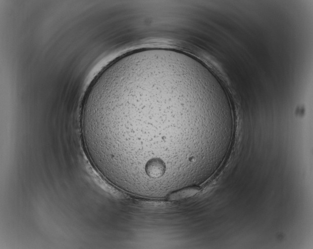 X0000115631192200911241640