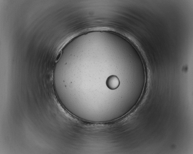 X0000115631193200911241640