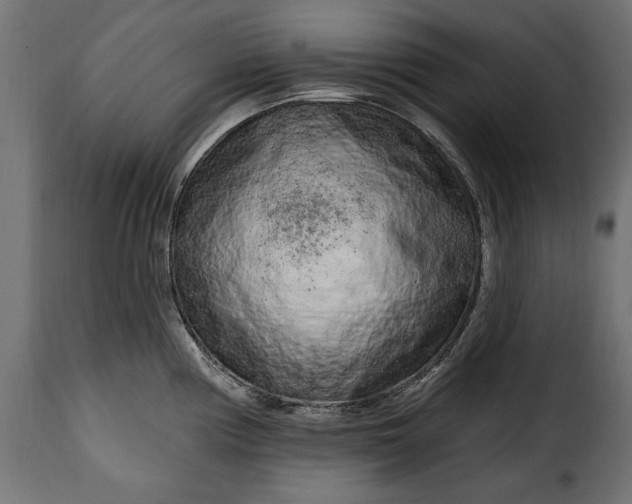 X0000115631194200911241640