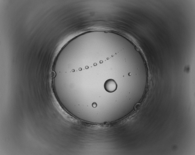 X0000115631195200911241640