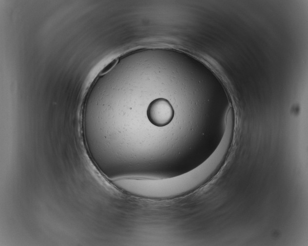 X0000115631196200911241640