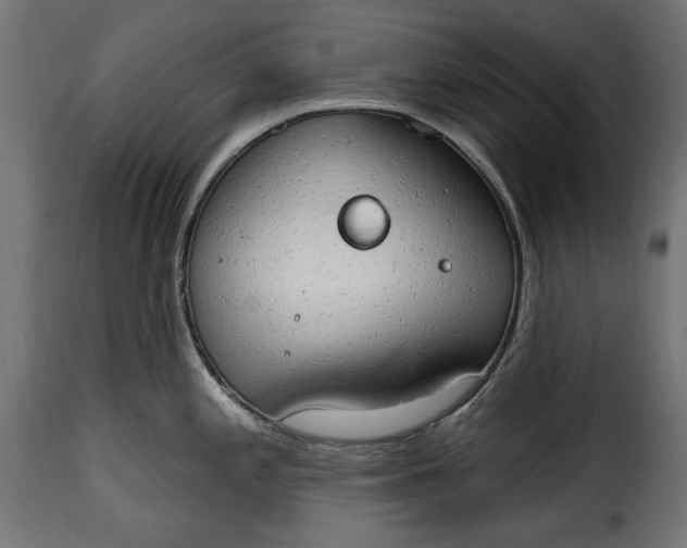 X0000115631197200911241640