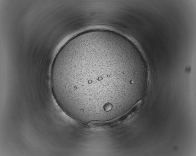 X0000115631199200911241640