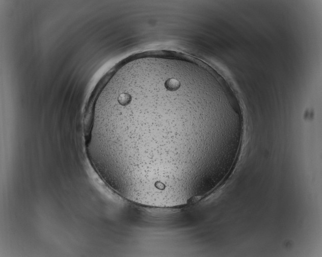 X0000115631200200911241640