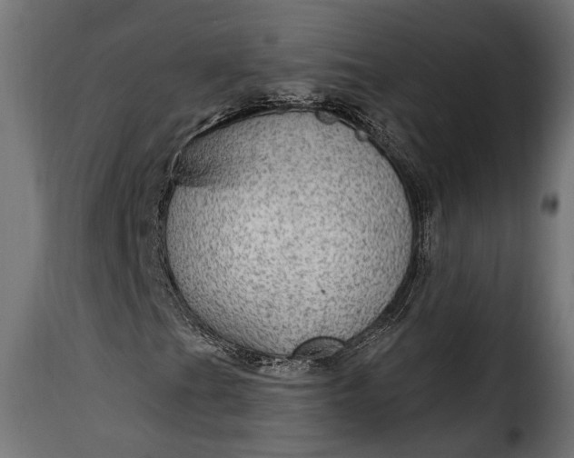 X0000115631201200911241639