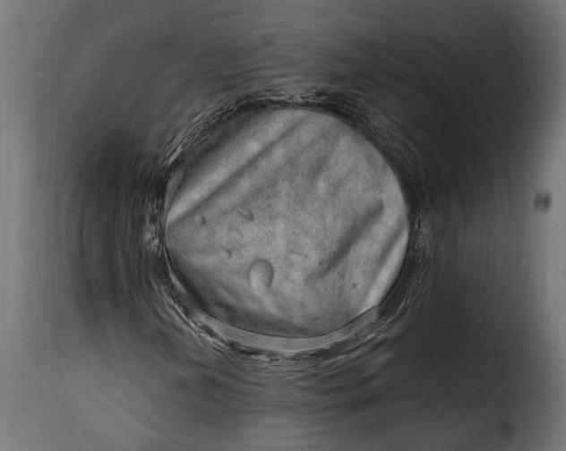 X0000115631202200911241639