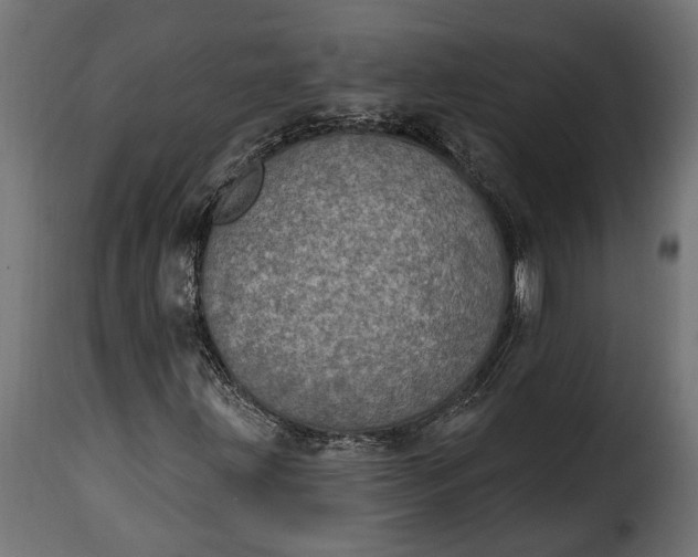 X0000115631203200911241639