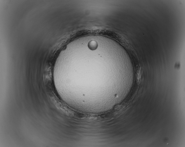 X0000115631204200911241639