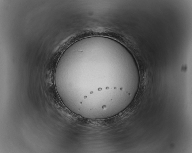 X0000115631205200911241639