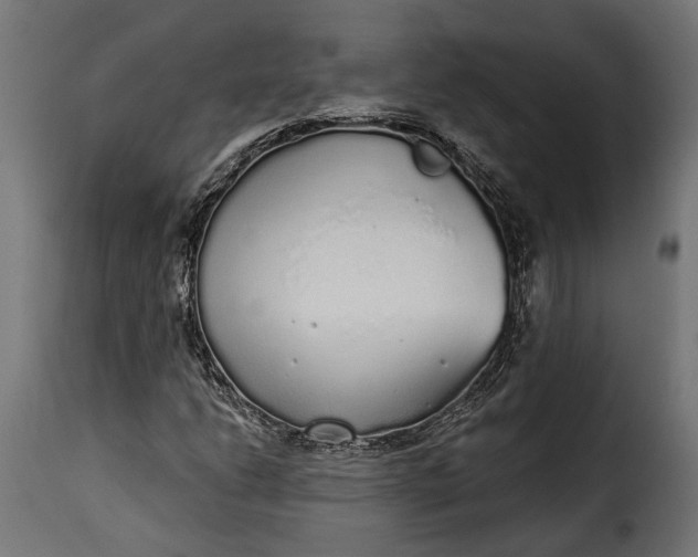 X0000115631206200911241639