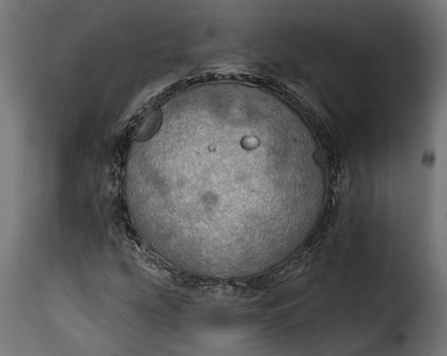 X0000115631207200911241639