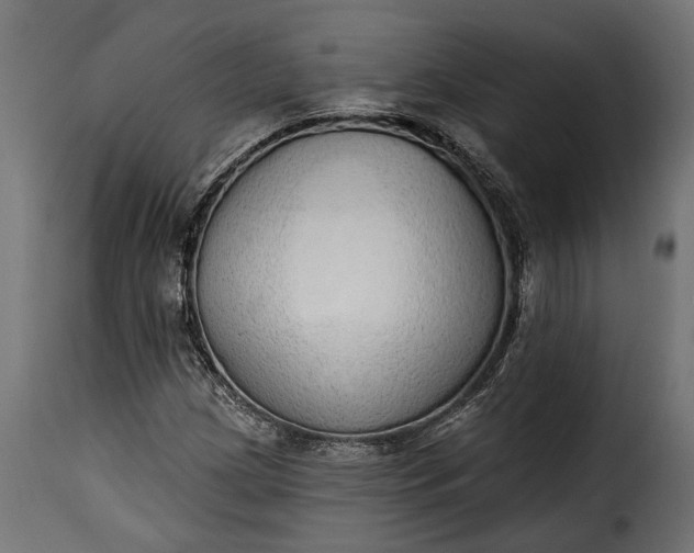 X0000115631209200911241639