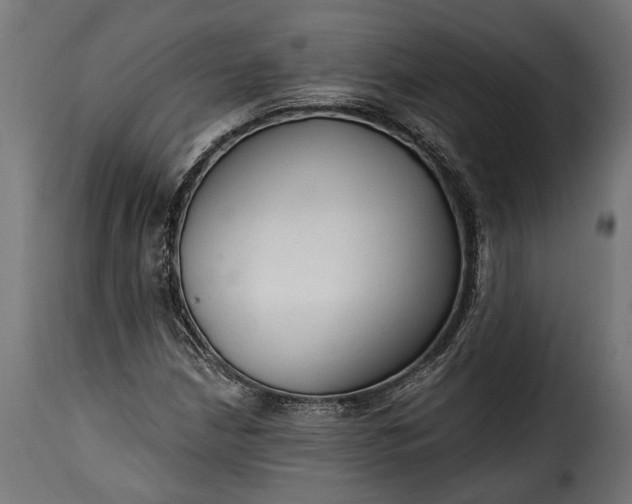 X0000115631210200911241639