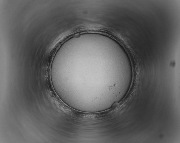 X0000115631211200911241639