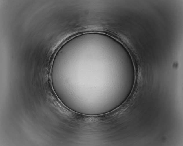 X0000115631212200911241639