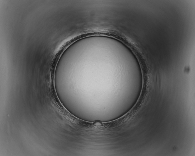 X0000115631214200911241639