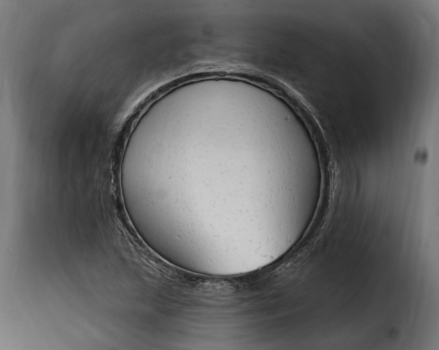 X0000115631215200911241639