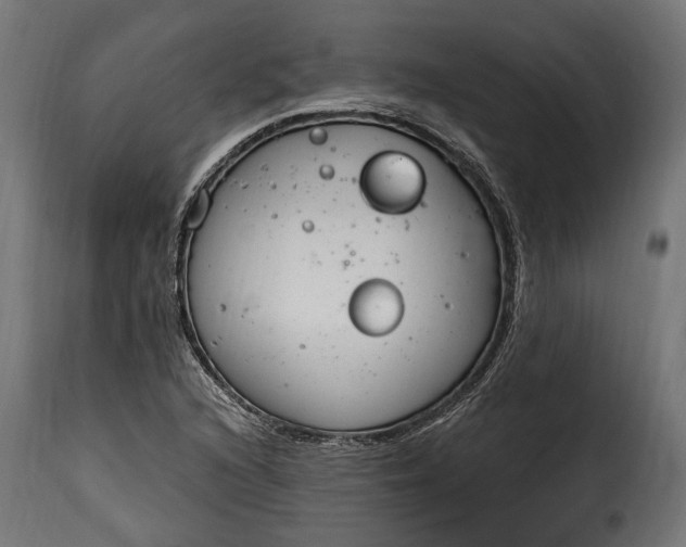 X0000115631216200911241639