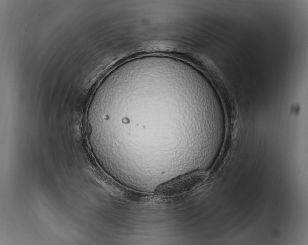 X0000115631217200911241639