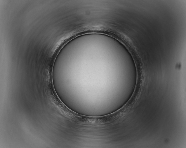 X0000115631218200911241639