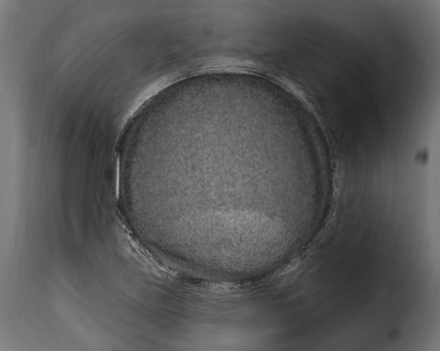 X0000115631219200911241639