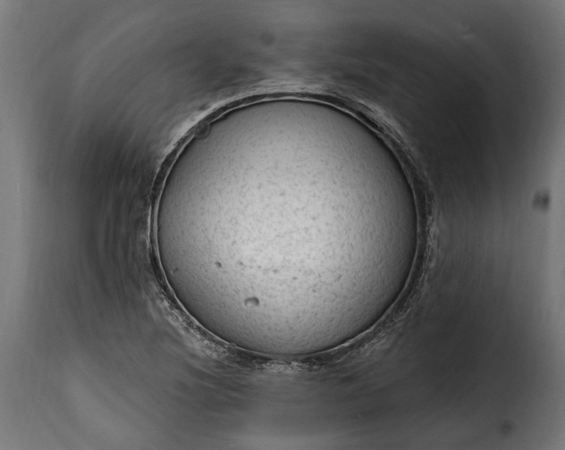 X0000115631220200911241639