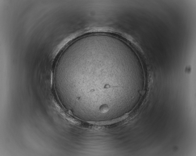 X0000115631221200911241639