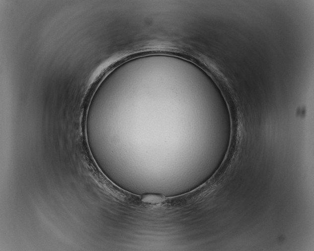 X0000115631222200911241639