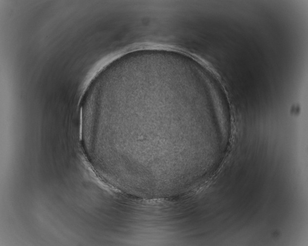 X0000115631223200911241639