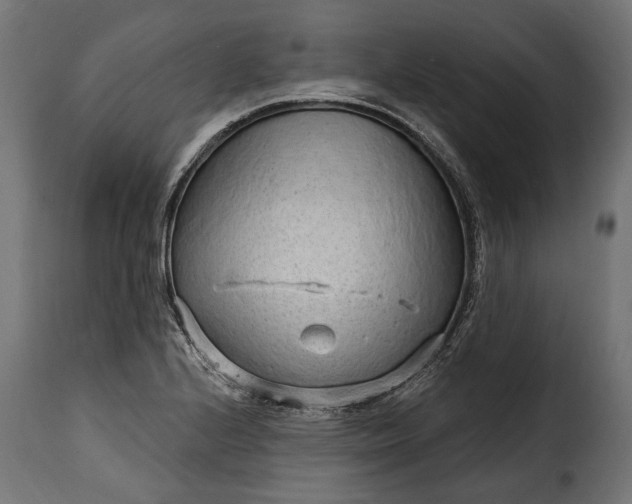 X0000115631224200911241639