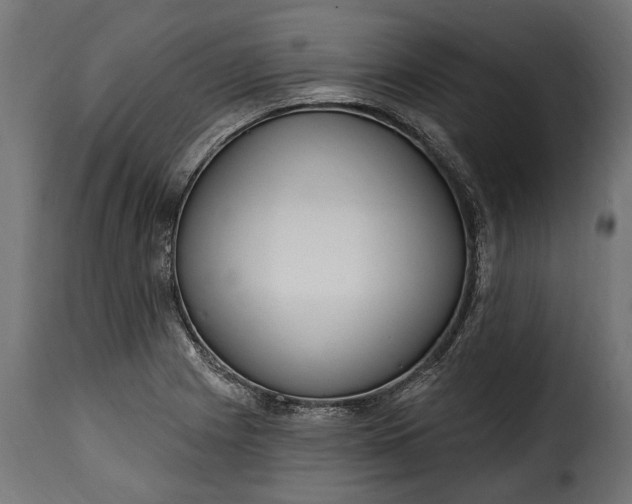 X0000115631225200911241639